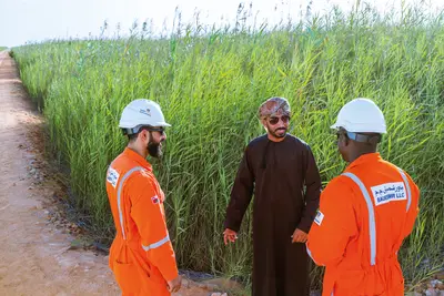 Bis zum Jahr 2044 wird die Pflanzenkläranlage im Oman von Bauer Resources betrieben